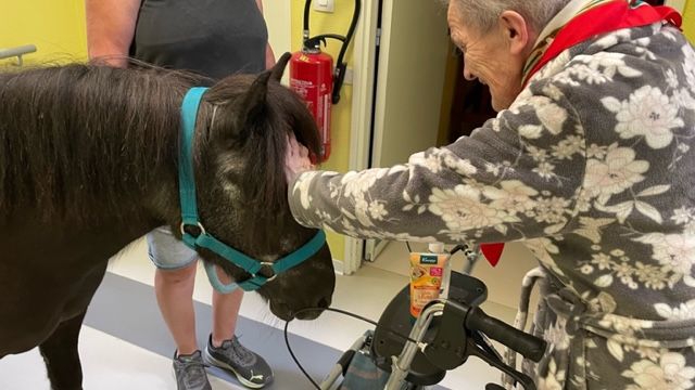 Un poney s'invite chez nos résidents